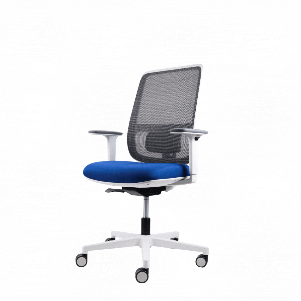 Silla Lotto Gris – Adaptable a Diferentes Alturas y Pesos