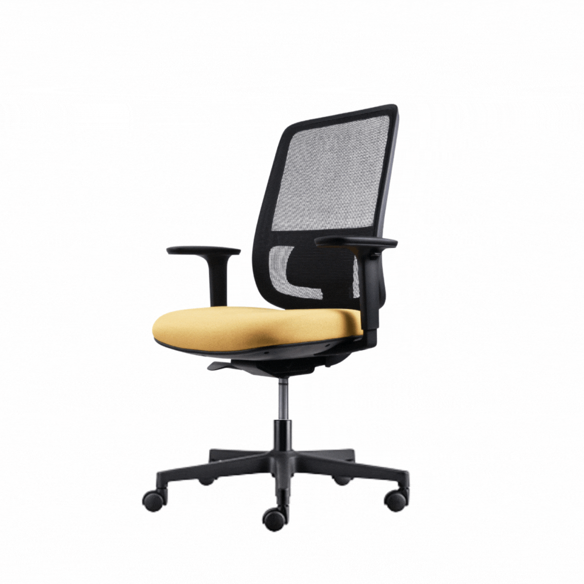 Silla Lotto Negra – Adaptable a diferentes alturas y pesos