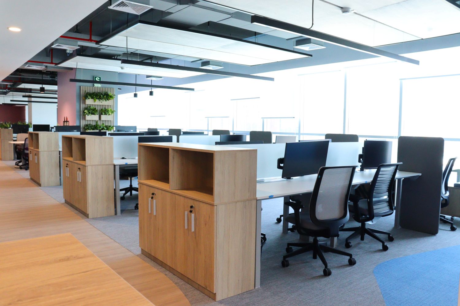 Proyecto Lenovo - VISSO