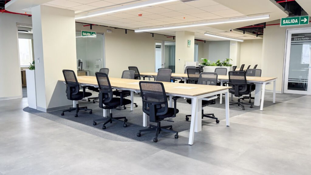 ajinomoto 2026 - proyecto