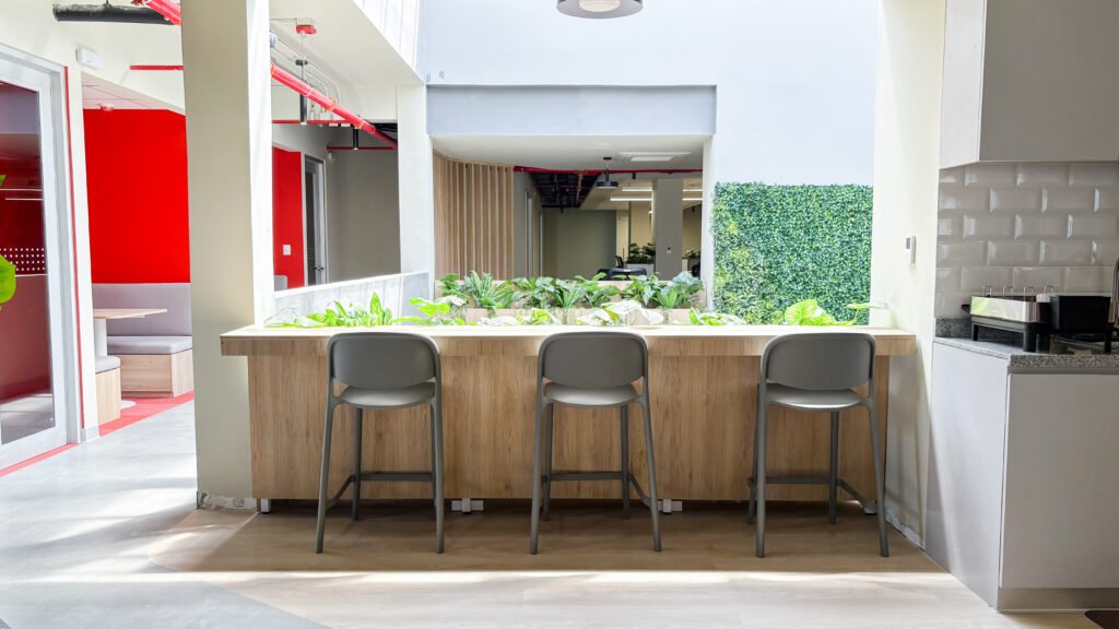 ajinomoto 2026 - proyecto