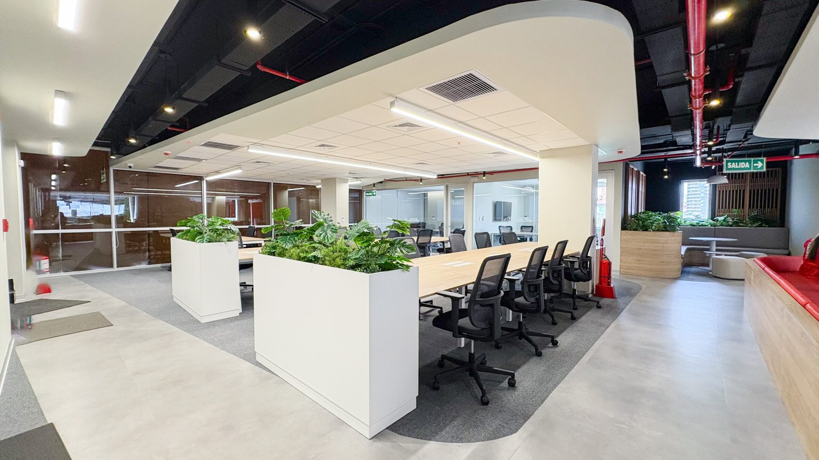 ajinomoto 2026 - proyecto