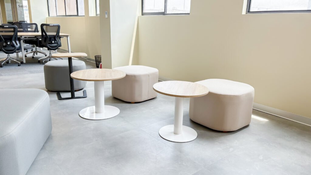 ajinomoto 2026 - proyecto