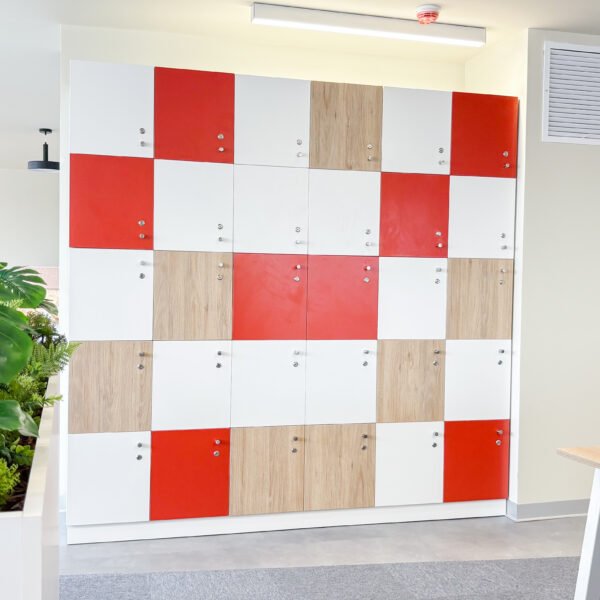 ajinomoto 2026 - proyecto