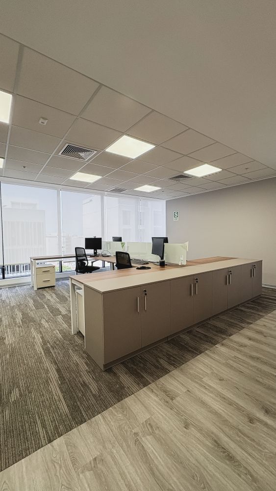 Proyecto Herbalife 12