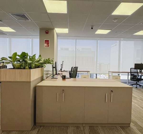 Proyecto Herbalife 13