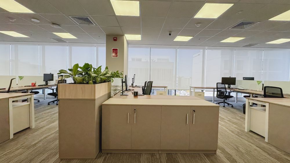 Proyecto Herbalife 13