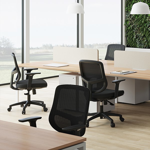Silla Leaf 5